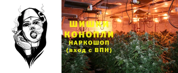 PSILOCYBIN Беломорск