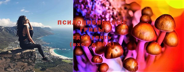 PSILOCYBIN Беломорск