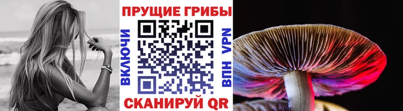 МЕГА ССЫЛКА  Козловка  Галлюциногенные грибы MAGIC MUSHROOMS 